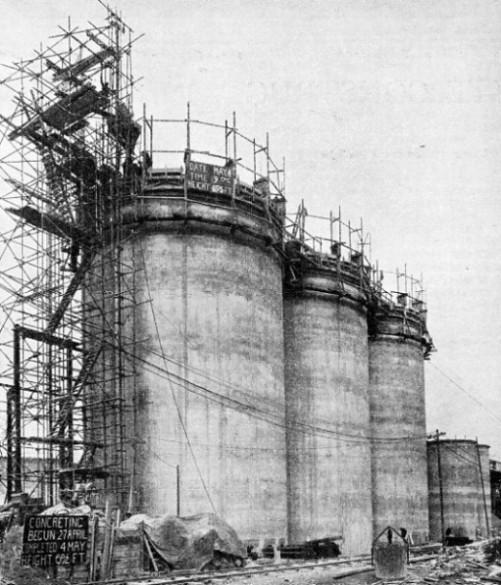 THE SILOS illustrated at the top of this page reached a height of 69½ feet five days later